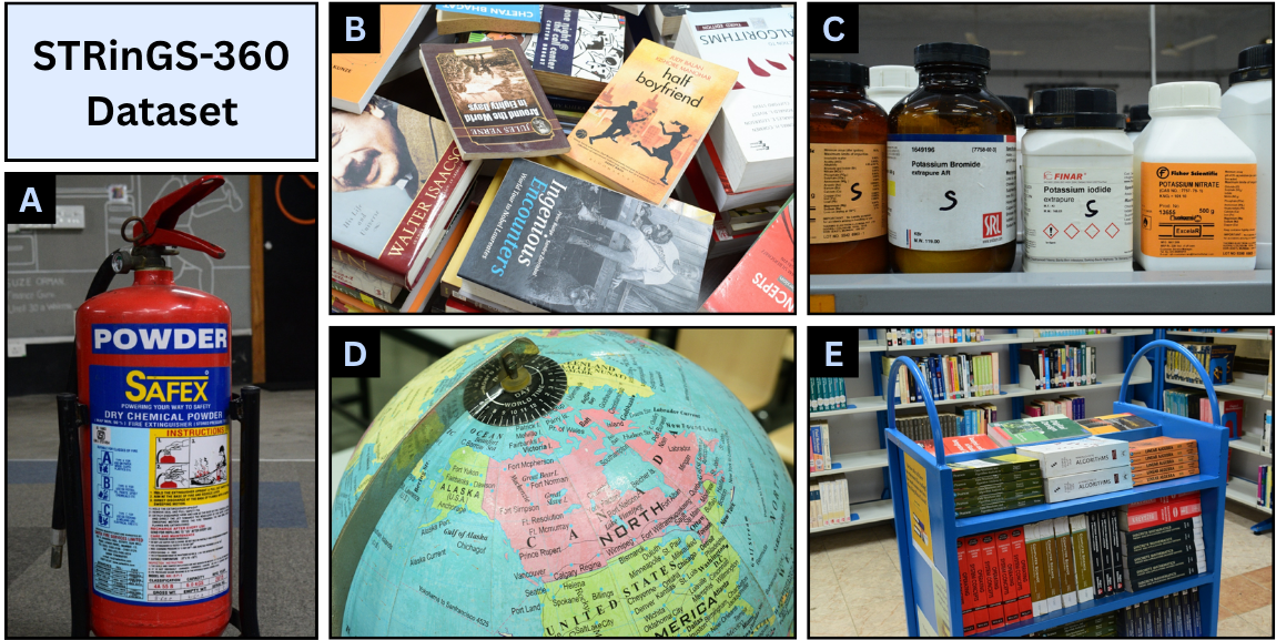 STRinGS-360 Dataset